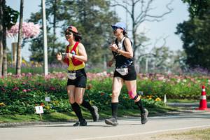 BIB: 
                            <button type="button" onclick="openModal(27608213)" class="btn btn-primary btn-sm float-right btn-popup" data-toggle="modal" data-target=".modal-high-quality">
                        <i class="fas fa-shopping-cart"></i> Add to Cart
                    </button>
                                            <button type="button" onclick="isThisMe(27608213, true)" class="btn btn-success btn-sm float-right btn-popup btn-isme hidden" data-toggle="tooltip" data-placement="bottom" title="นี่คือรูปของคุณใช่ไหม คลิกที่นี่เพื่อเอาเข้าอัลบั้ม">
                        <i class="fas fa-plus"></i> Add to album
                    </button>
                    <button type="button" onclick="isThisMe(27608213, false)" class="btn btn-warning btn-sm float-right btn-popup btn-isnotme hidden">
                        <i class="fas fa-ban"></i> Remove from album
                    </button>